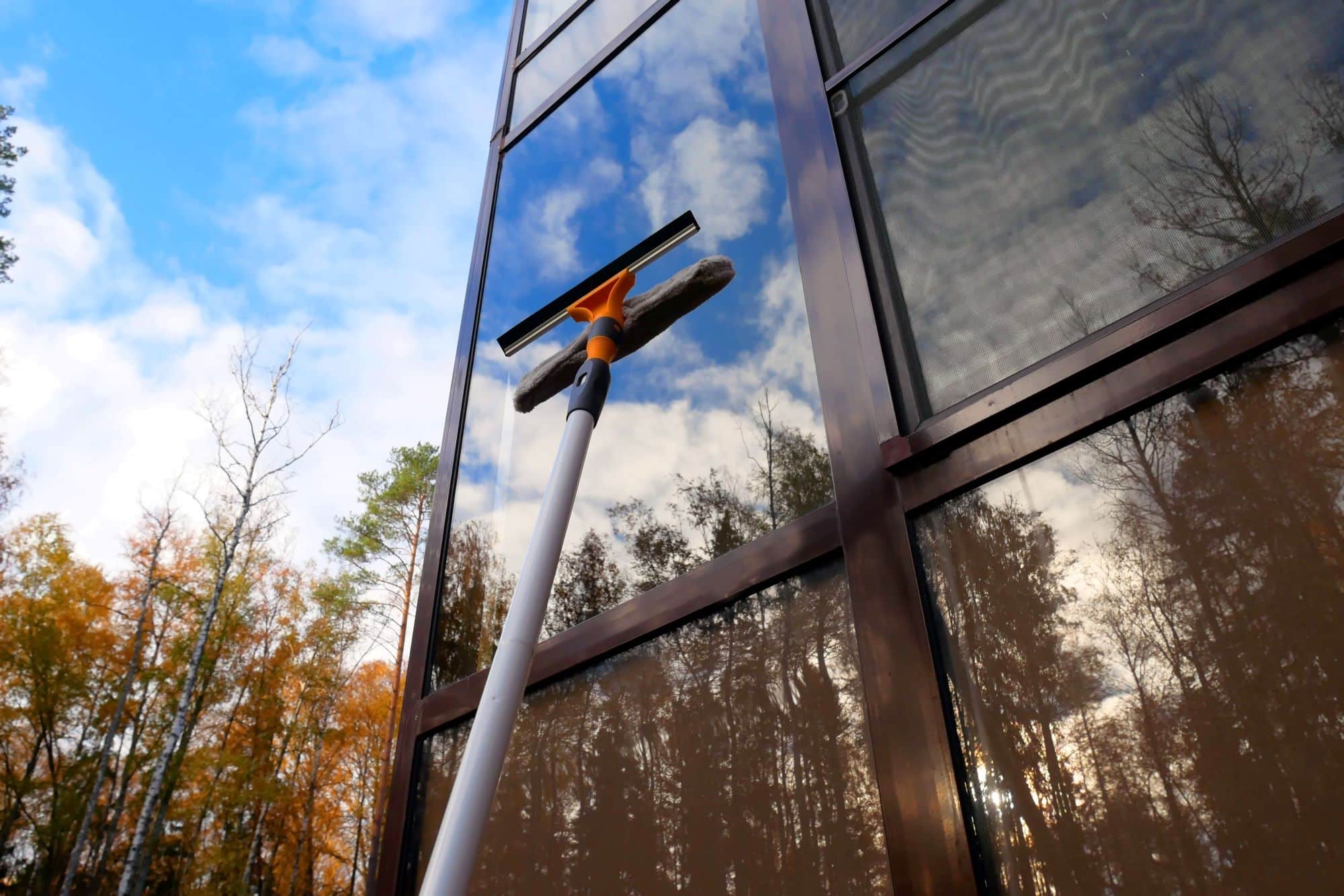 Professional Window Cleaning